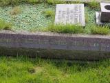 image of grave number 788604